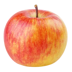 Frischer Bio-Apfel Topaz - jetzt online kaufen bei Natur.com
