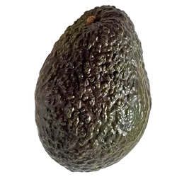 Frische Bio-Avocado Hass - jetzt online kaufen bei Natur.com