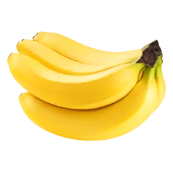 Frische Bio-Banane - jetzt online kaufen bei Natur.com