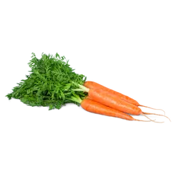 Frische Bio-Bundkarotten mit Grün - jetzt online kaufen bei Natur.com