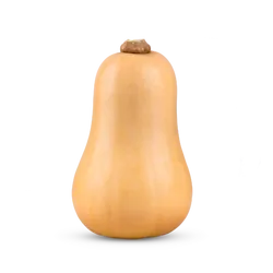 Frischer Bio-Butternut-Kürbis - jetzt online kaufen bei Natur.com