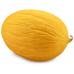 Frische Bio-Canari-Melone - jetzt online kaufen bei Natur.com