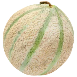 Frische Bio-Cantaloupe-Melone - jetzt online kaufen bei Natur.com