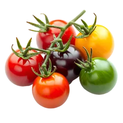 Bio-Cherrytomaten-Mix bunt - jetzt online kaufen bei Natur.com