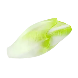 Frischer Bio-Chicorée - jetzt online kaufen bei Natur.com