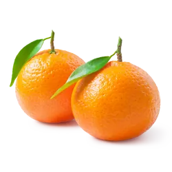Frische Bio-Clementine - jetzt online kaufen bei Natur.com