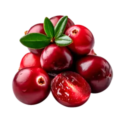 Frische Bio-Cranberries - jetzt online kaufen bei Natur.com