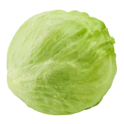 Frischer Bio-Eissalat - jetzt online kaufen bei Natur.com