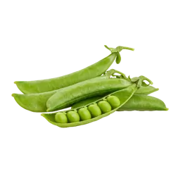 Frische Bio-Erbsen jung - jetzt online kaufen bei Natur.com