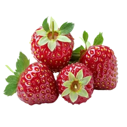 Frische Bio-Erdbeere - jetzt online kaufen bei Natur.com