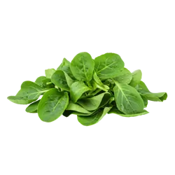 Frischer Bio-Feldsalat - jetzt online kaufen bei Natur.com