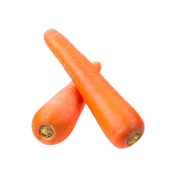 Frische Bio-Frühkarotte - jetzt online kaufen bei Natur.com