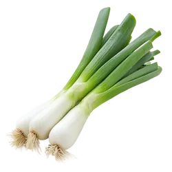 Frische Bio-Frühlingszwiebeln - jetzt online kaufen bei Natur.com
