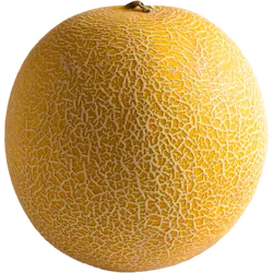 Frische Bio-Galia-Melone - jetzt online kaufen bei Natur.com