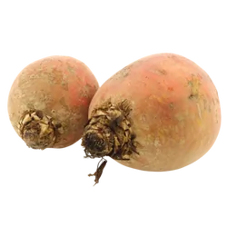 Frische Bio-Gelbe Bete - jetzt online kaufen bei Natur.com