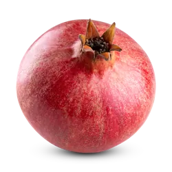 Frischer Bio-Granatapfel - jetzt online kaufen bei Natur.com