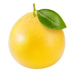 Frische Bio-Grapefruit weiß - jetzt online kaufen bei Natur.com