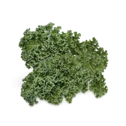 Frischer Bio-Grünkohl - jetzt online kaufen bei Natur.com