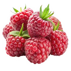 Frische Bio-Himbeere - jetzt online kaufen bei Natur.com