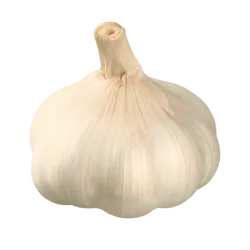 Frischer Bio-Knoblauch jetzt online kaufen bei Natur.com