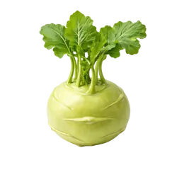 Frischer Bio-Kohlrabi - jetzt online kaufen bei Natur.com
