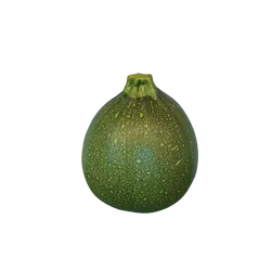 Bio-Kürbis Rondini - jetzt online kaufen bei Natur.com