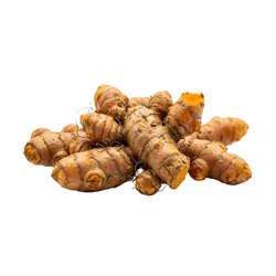 Frische Bio-Kurkuma - jetzt online kaufen bei Natur.com