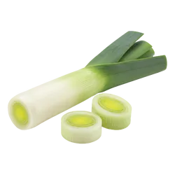 Frischer Bio-Lauch - jetzt online kaufen bei Natur.com