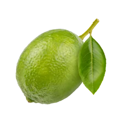 Frische Bio-Limette - jetzt online kaufen bei Natur.com