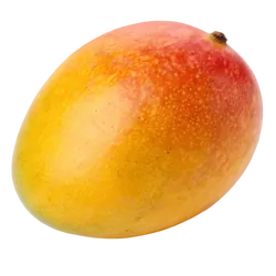 Frische Bio-Mango Kent - jetzt online kaufen bei Natur.com