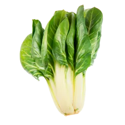 Frischer Bio-Mangold - jetzt online kaufen bei Natur.com