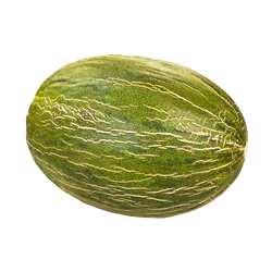 Frische Bio-Melone Piel de Sapo - jetzt online kaufen bei Natur.com
