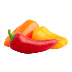 Frische Bio-Mini-Paprika - jetzt online kaufen bei Natur.com