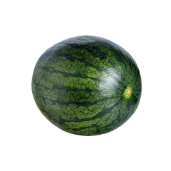 Frische Bio-Mini-Wassermelone - jetzt online kaufen bei Natur.com