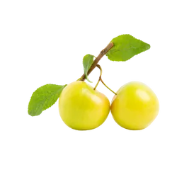 Frische Bio-Mirabelle - jetzt online kaufen bei Natur.com