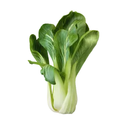 Frischer Bio-Pak Choy - jetzt online kaufen bei Natur.com