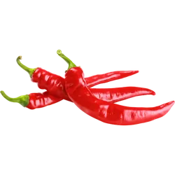 Frische Bio-Peperoni rot - jetzt online kaufen bei Natur.com