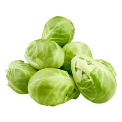 Frischer Bio-Rosenkohl - jetzt online kaufen bei Natur.com
