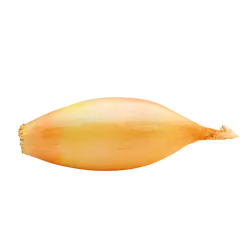 Frische Bio-Schalotte - jetzt online kaufen bei Natur.com