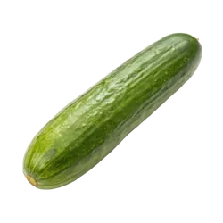 Frische Bio-Schlangengurke - jetzt online kaufen bei Natur.com