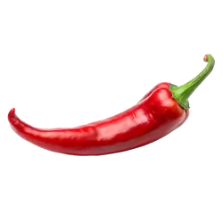 Frische Bio-Spitzpaprika rot - jetzt online kaufen bei Natur.com