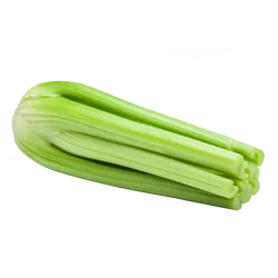 Frischer Bio-Stangensellerie - jetzt online kaufen bei Natur.com