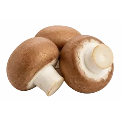 Frische Bio-Steinchampignons - jetzt online kaufen bei Natur.com