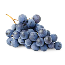 Frische Bio-Trauben blau kernlos - jetzt online kaufen bei Natur.com