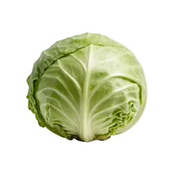 Frischer Bio-Weißkohl - jetzt online kaufen bei Natur.com