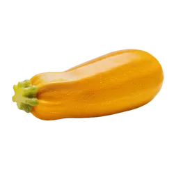 Frische Bio-Zucchini gelb - jetzt online kaufen bei Natur.com