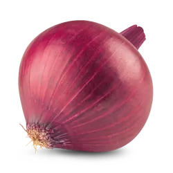 Frische Bio-Zwiebel rot - jetzt online kaufen bei Natur.com
