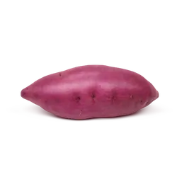 Frische violette Bio-Süßkartoffel - jetzt online kaufen bei Natur.com