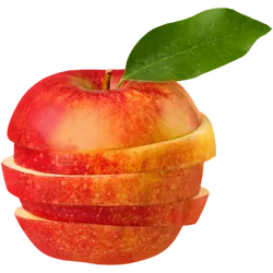 Bio-Äpfel Cox Orange in Premium-Qualität - Natur.com