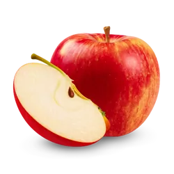 Bio-Äpfel Santana in Premium-Qualität bestellen - Natur.com